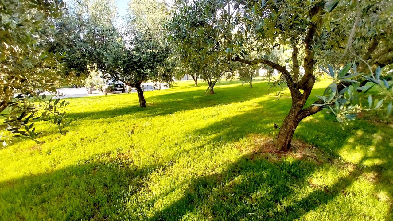Photo of Outdoor in Pomer