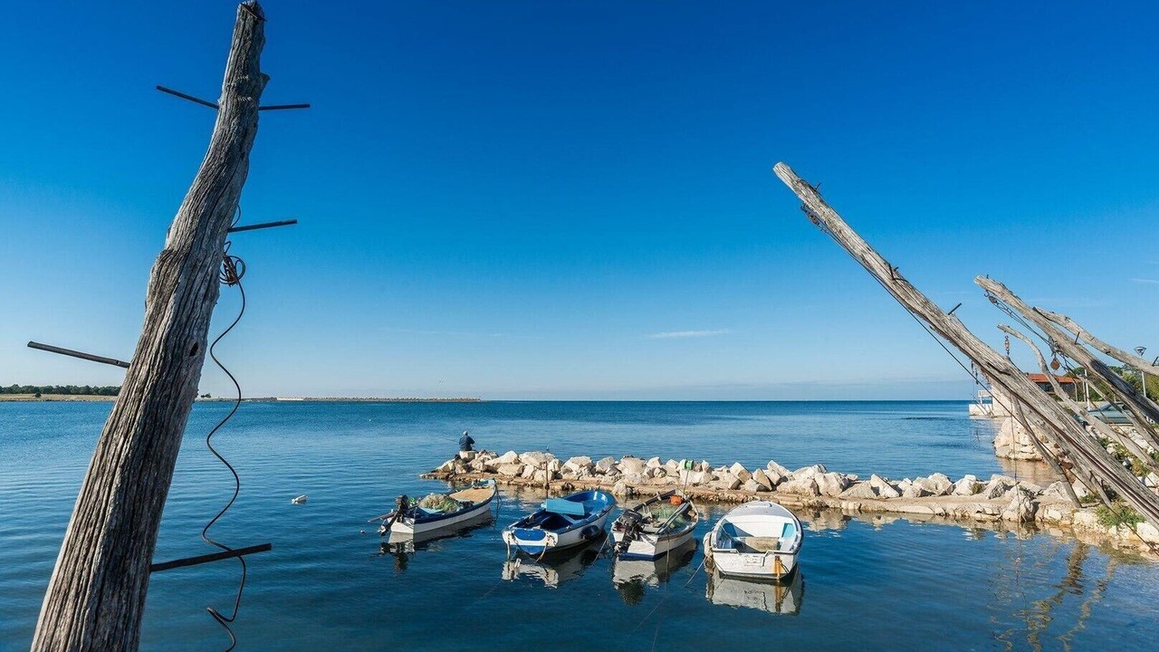 Photo of Others in Umag