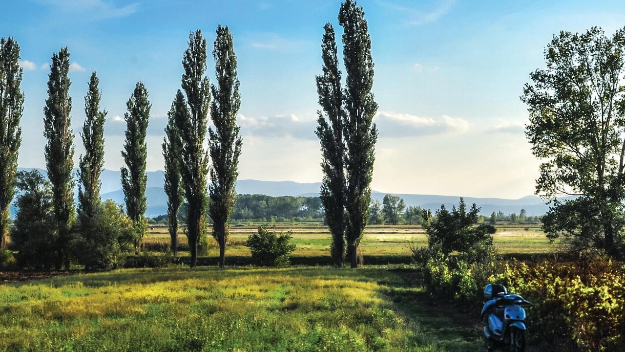Photo of Others in Sinj