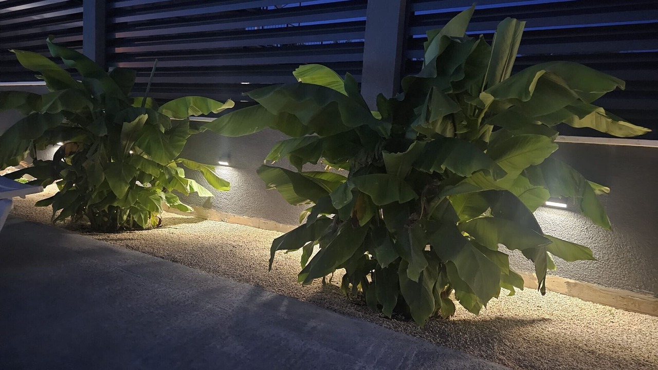 Photo of Outdoor in Mejasi