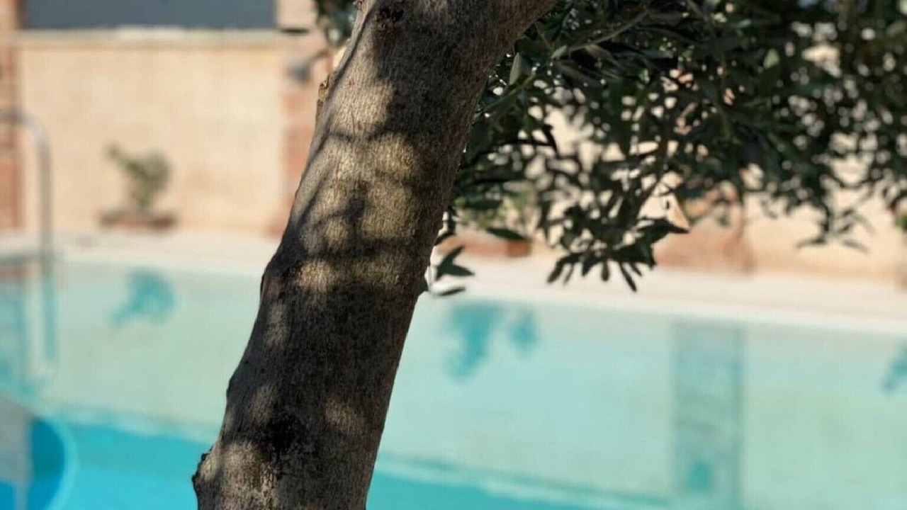 Photo of Outdoor in Rudine