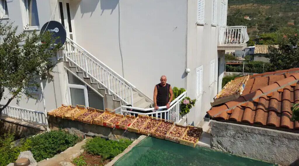 Photo of Patio Balcony in Zvekovica