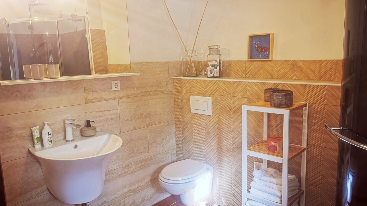 Photo of Bathroom in Brod Moravice