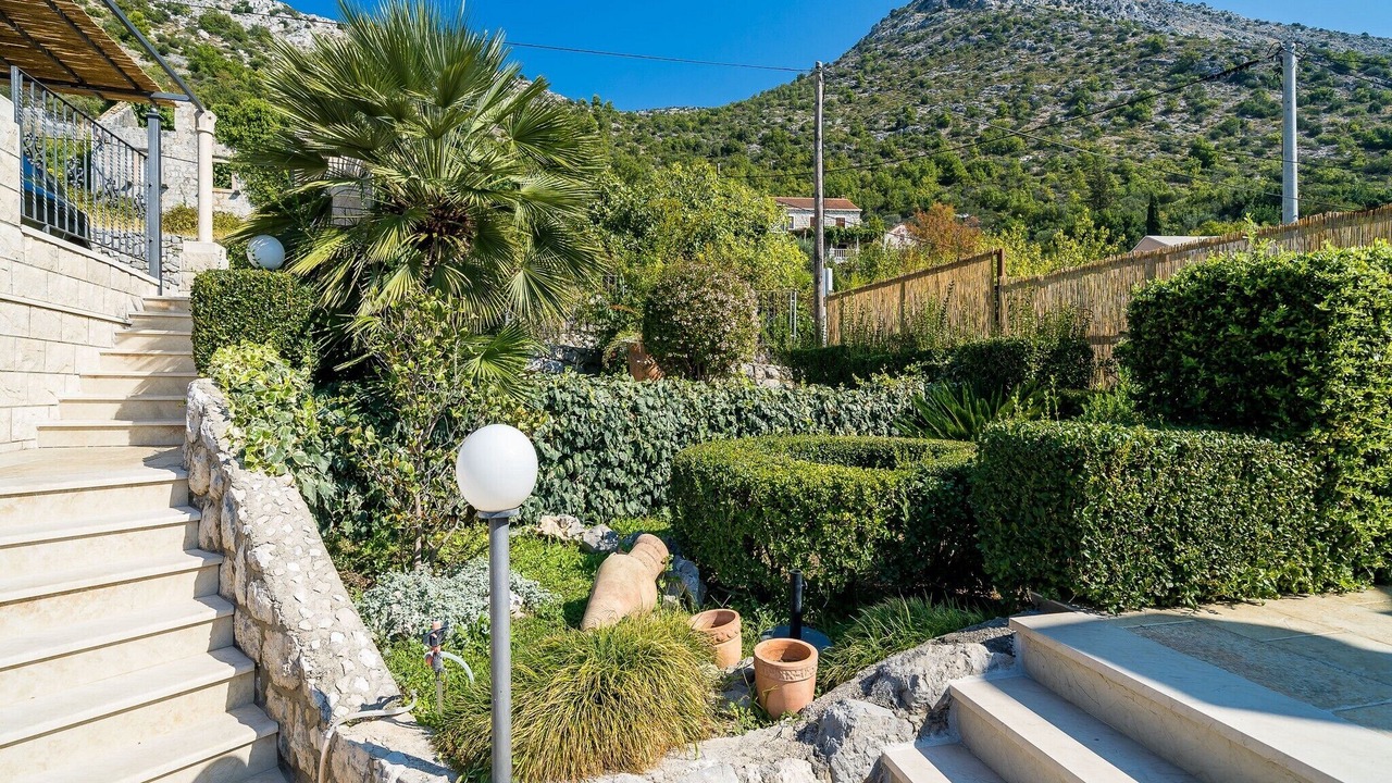 Photo of Outdoor in Trsteno