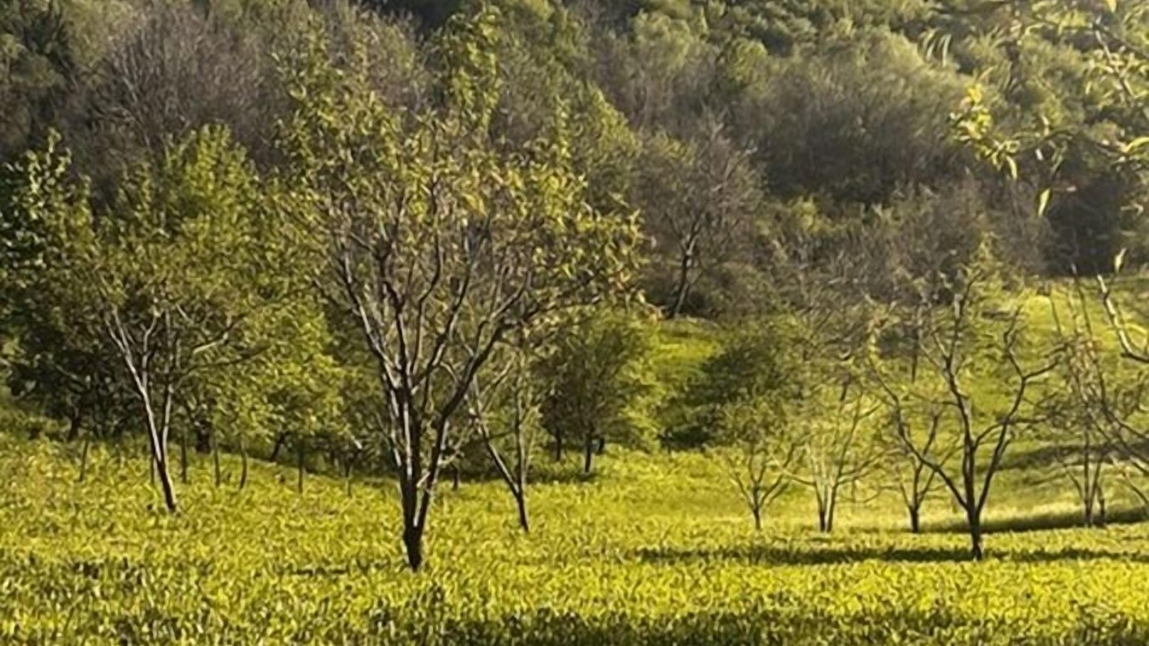 Photo of Others in Breznik Plesivicki