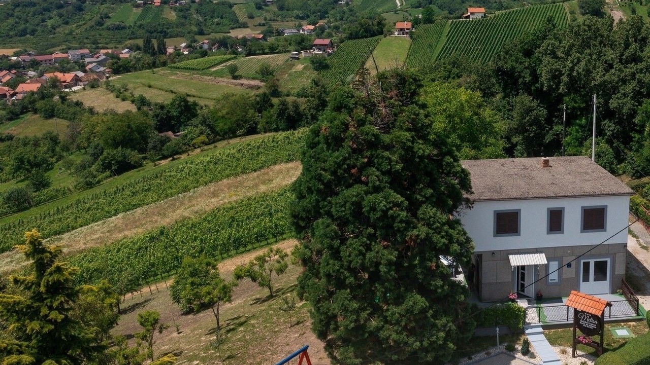 Photo of Others in Breznik Plesivicki