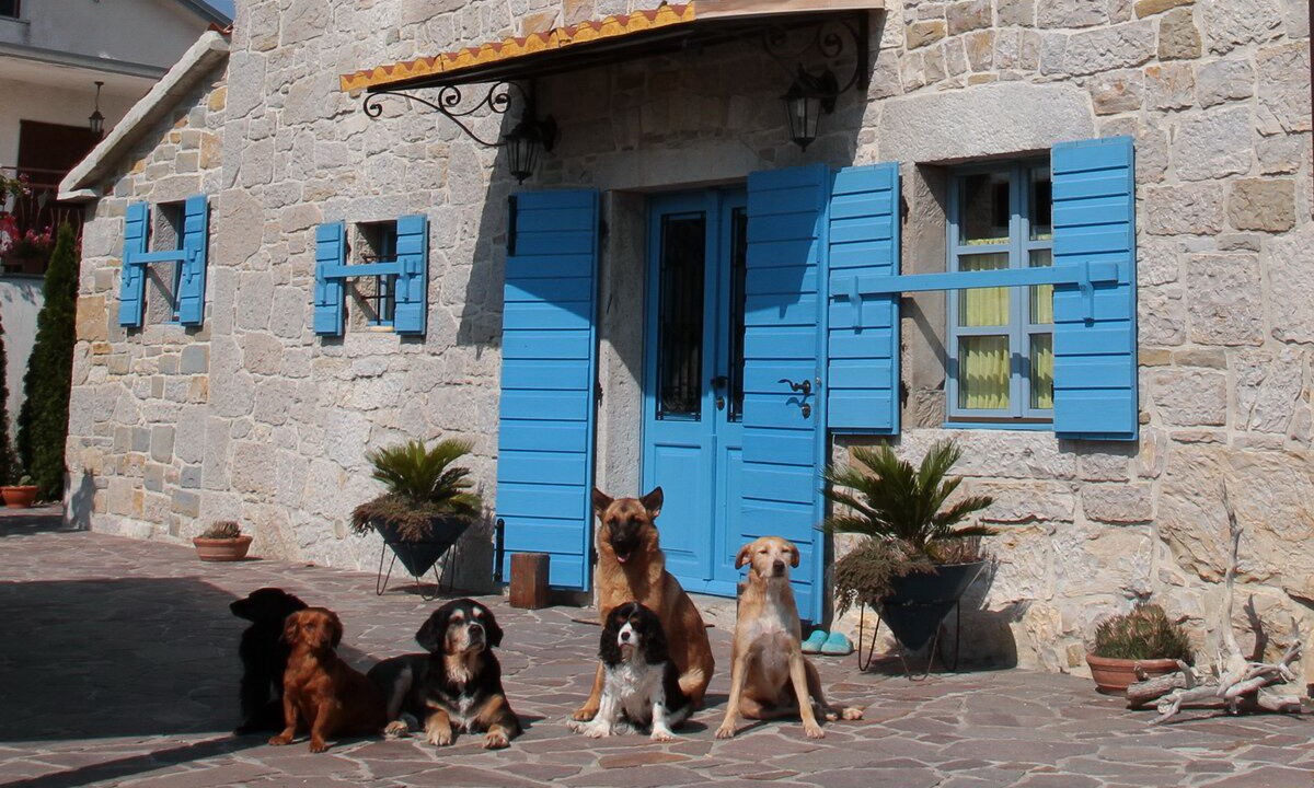 Photo of Outdoor in Buzet