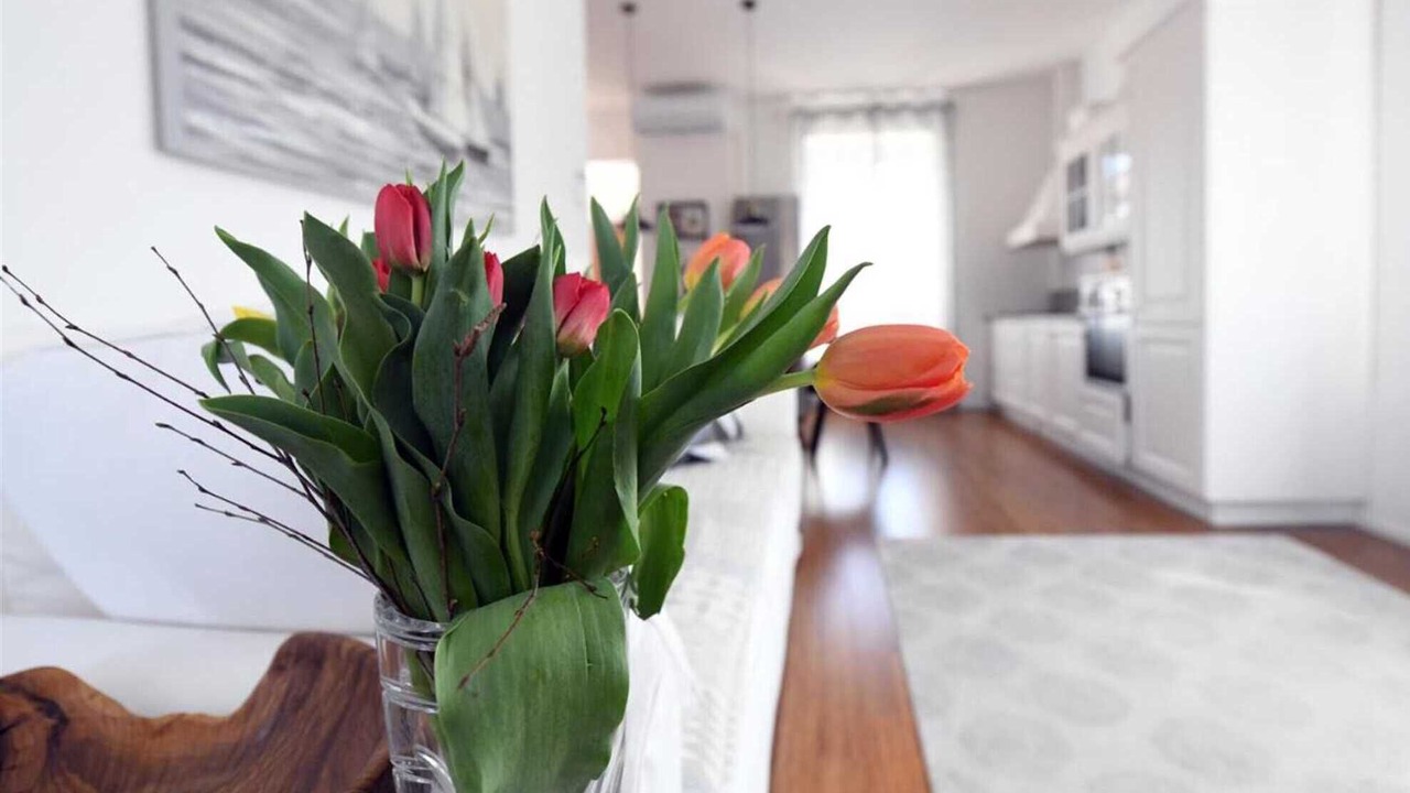 Photo of Bedroom in Izola