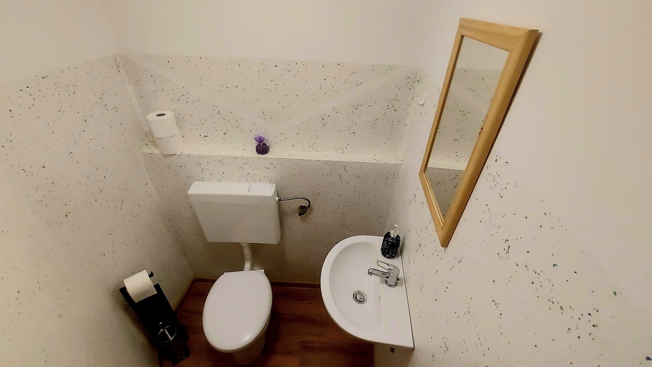 Photo of Bathroom in Bohinj