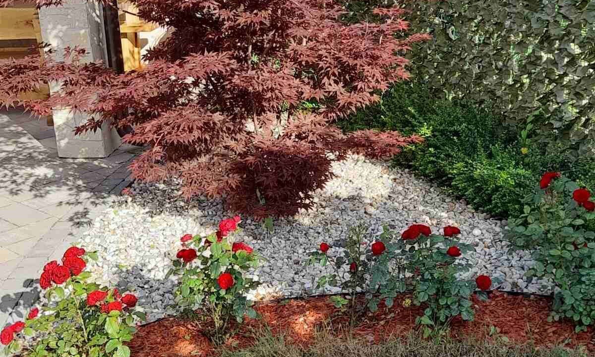 Photo of Outdoor in Lipa