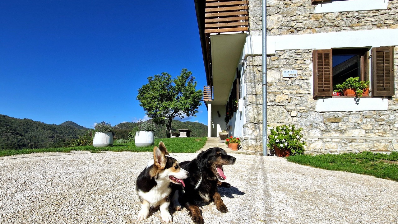 Photo of Outdoor in Kambresko