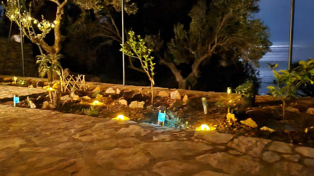 Photo of Outdoor in Sevid