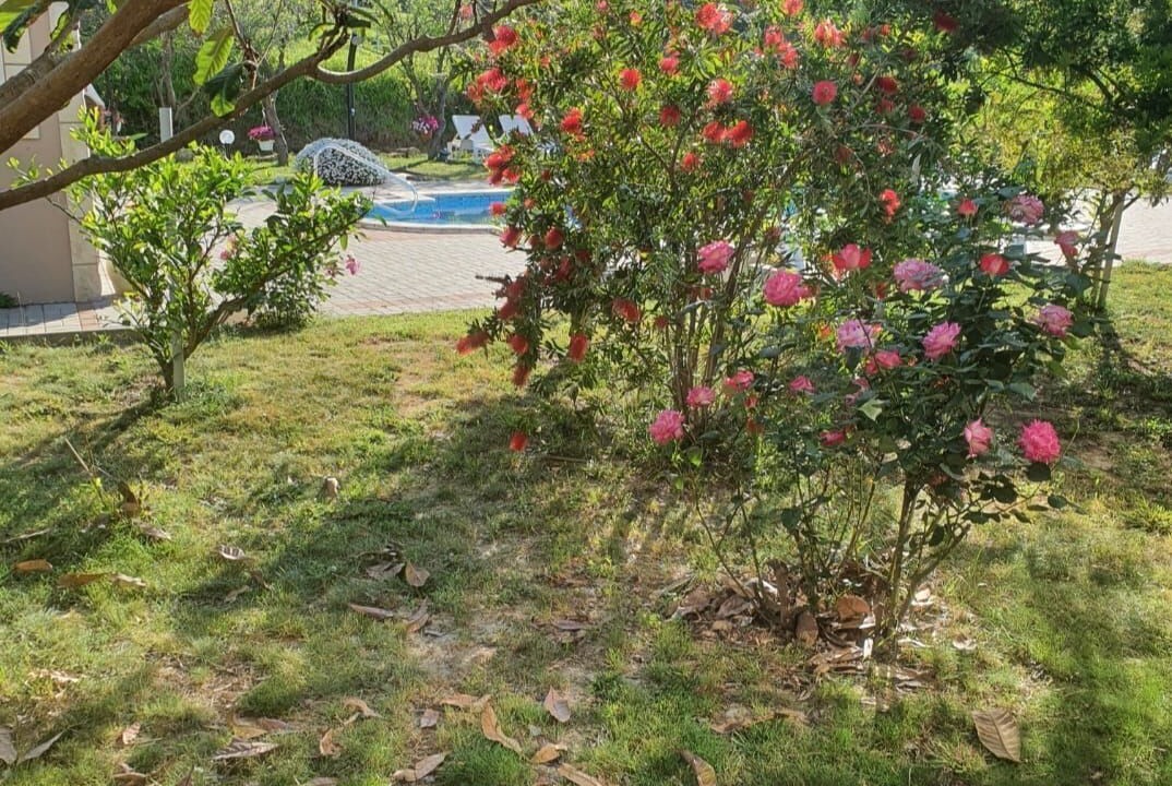 Photo of Outdoor in Mundanije
