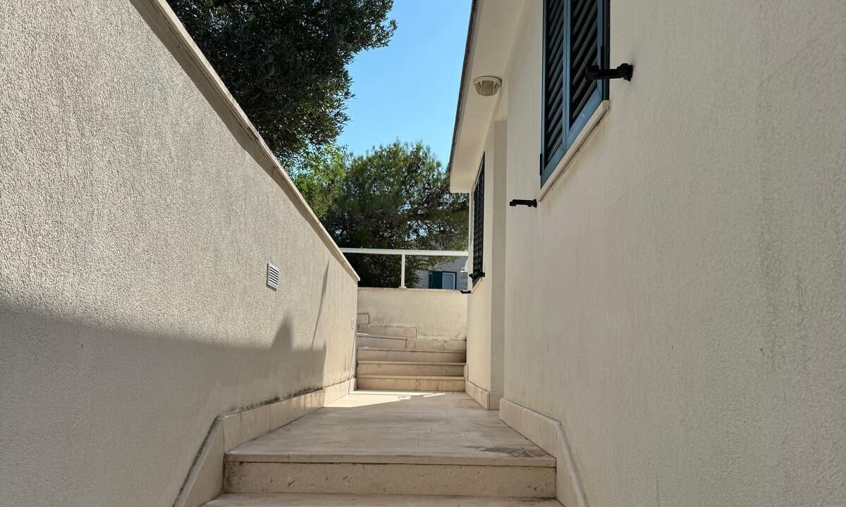 Photo of Outdoor in Blace