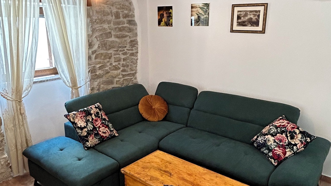 Photo of Livingroom in Draguc