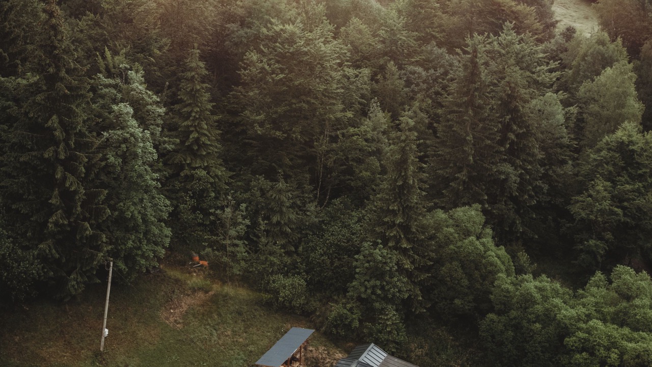 Photo of Outdoor in Horea