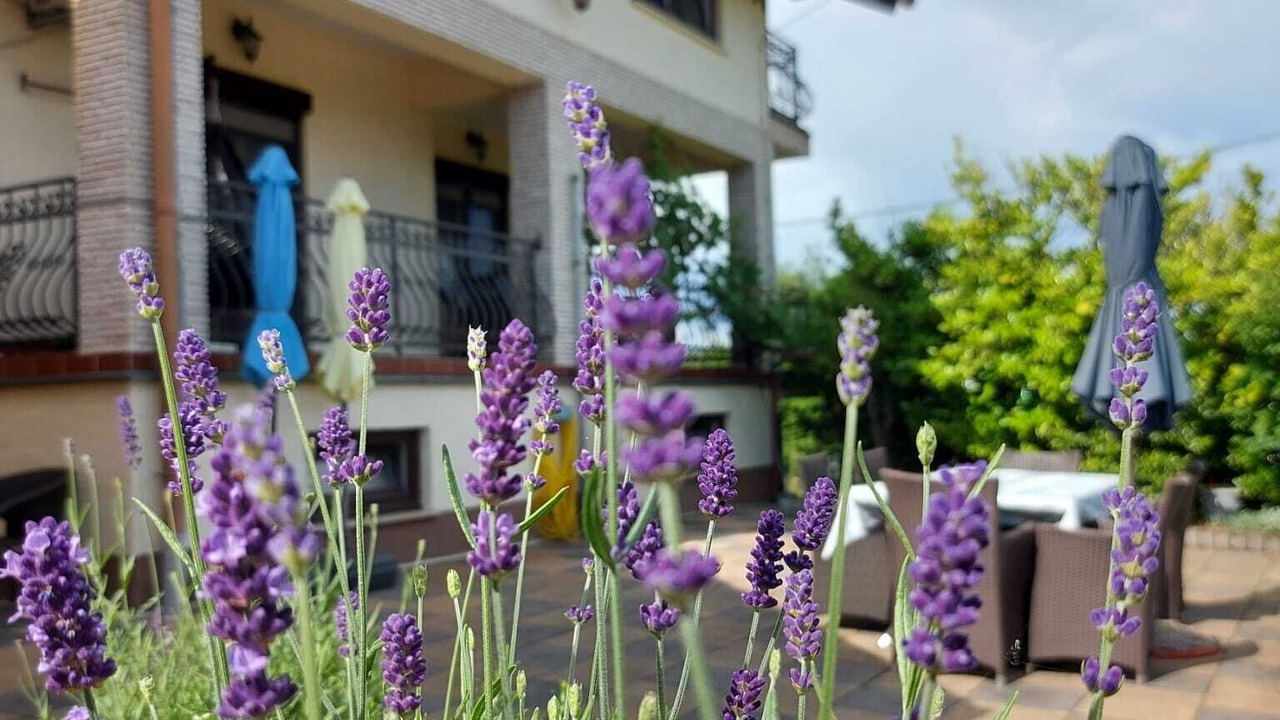 Photo of Outdoor in Cvetkovic