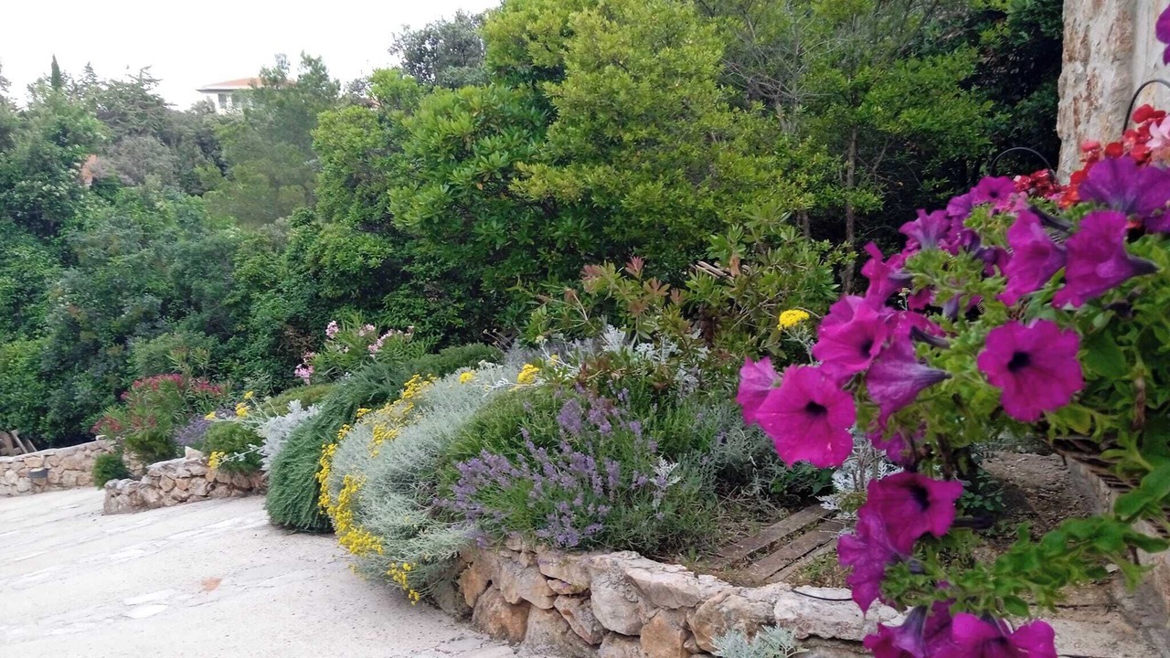 Photo of Outdoor in Stari Grad
