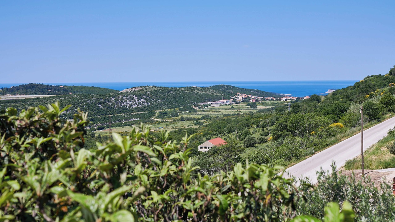 Photo of Others in Popovici