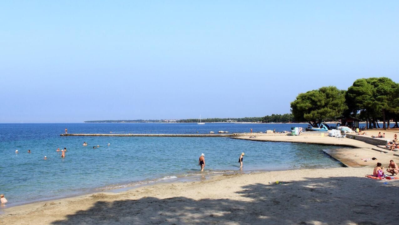 Photo of Others in Vardica