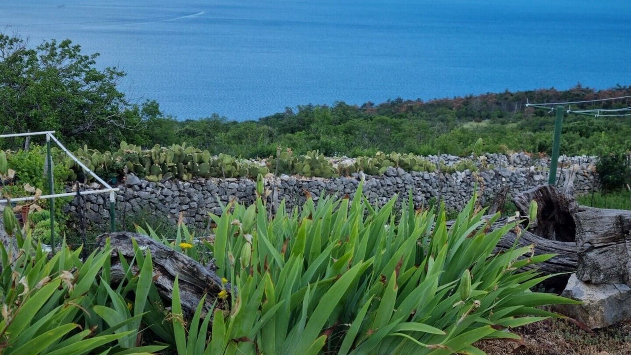 Photo of Others in Ripenda Kosi