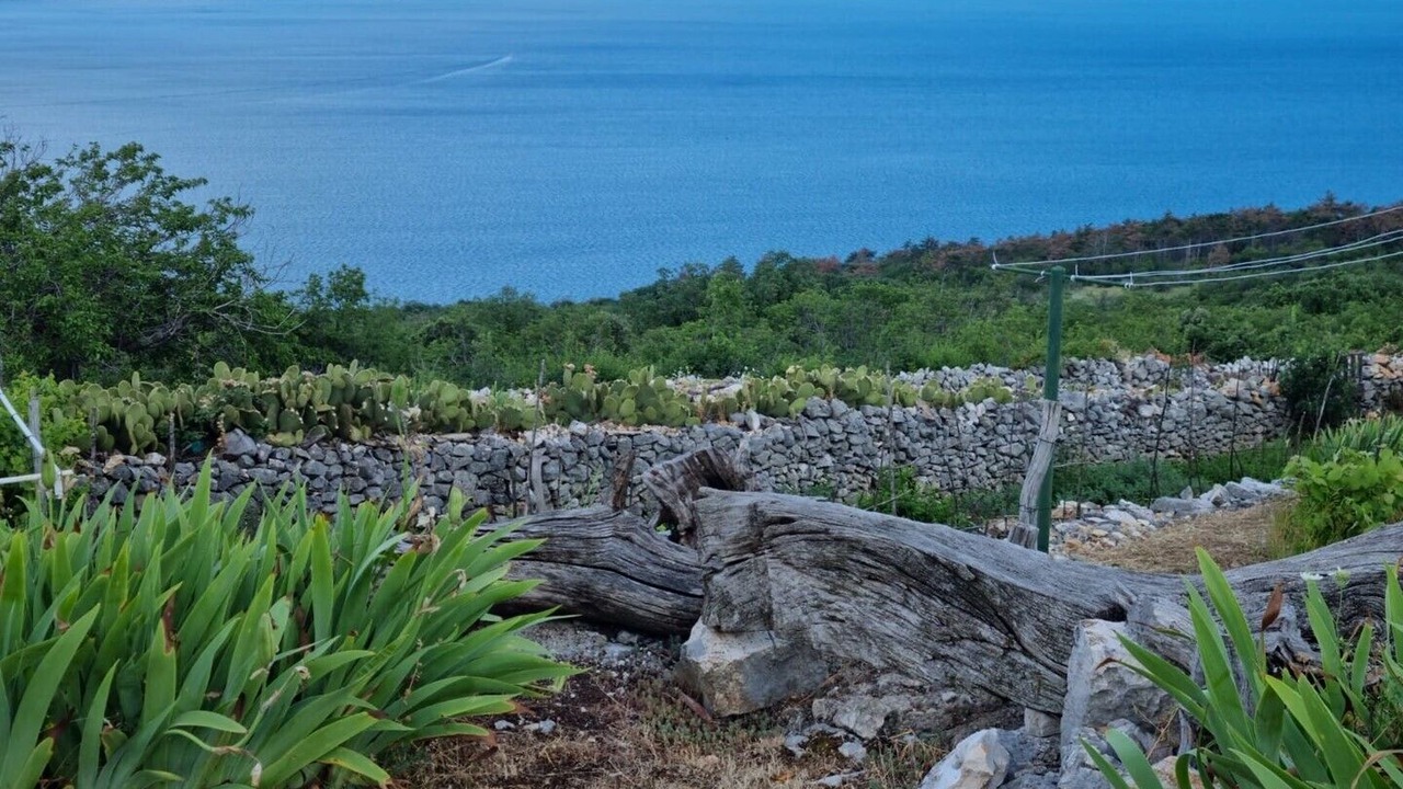 Photo of Others in Ripenda Kosi