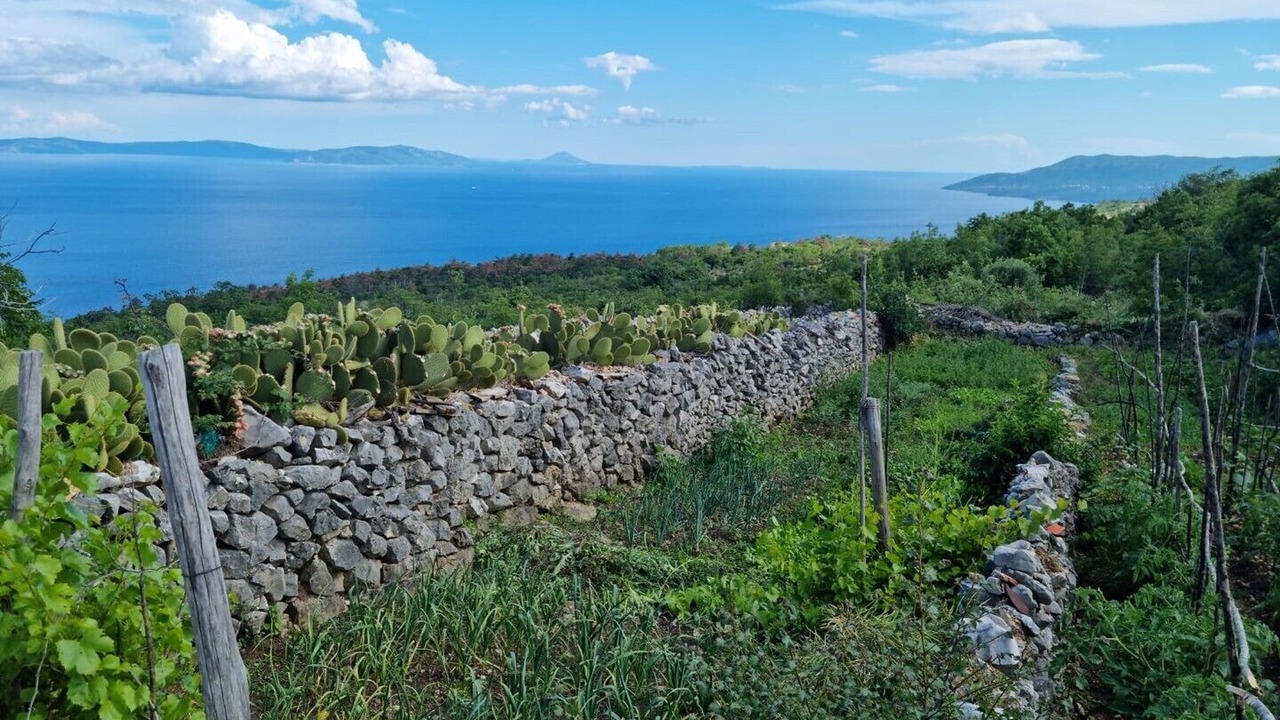 Photo of Others in Ripenda Kosi