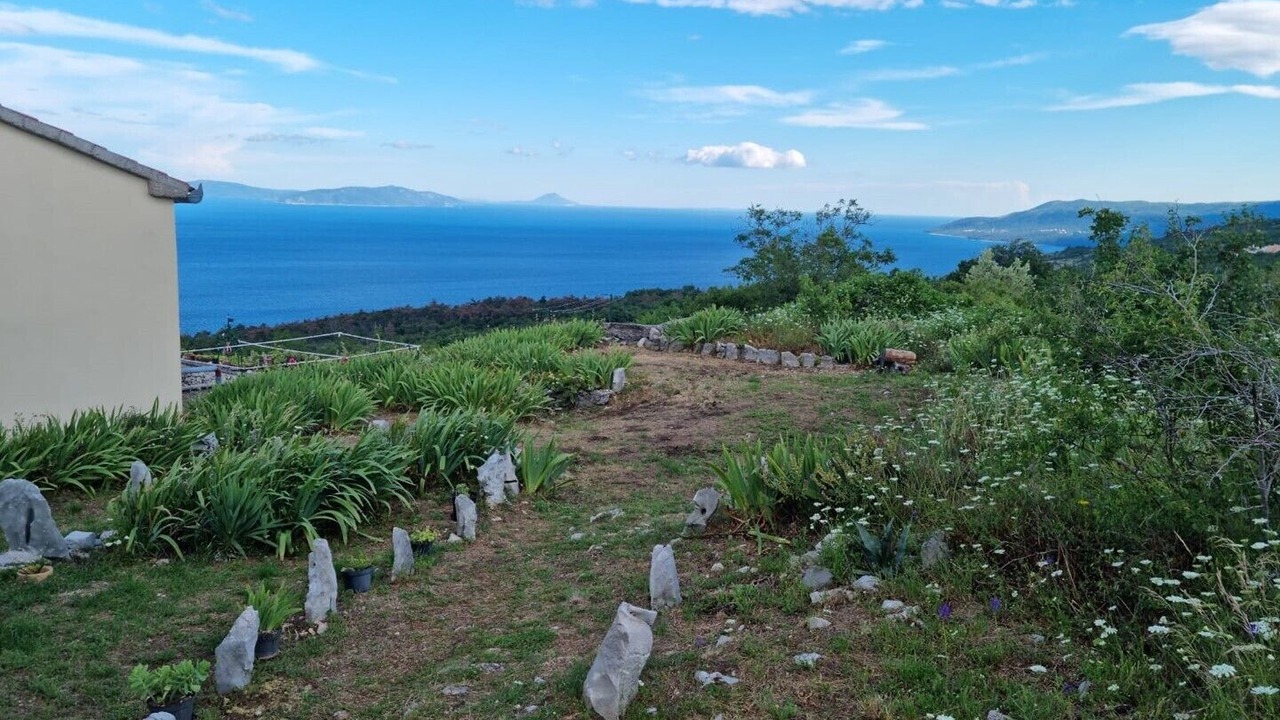 Photo of Others in Ripenda Kosi