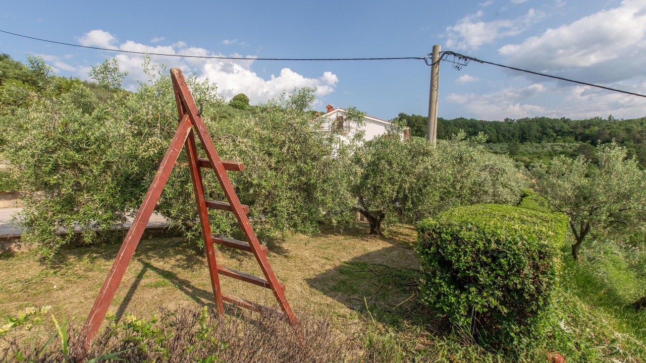 Photo of Others in Secovlje