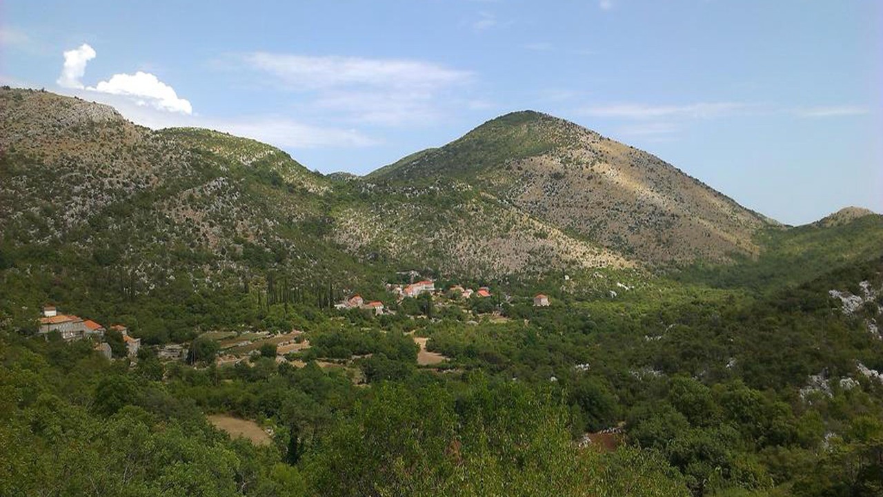 Photo of Others in Stravca