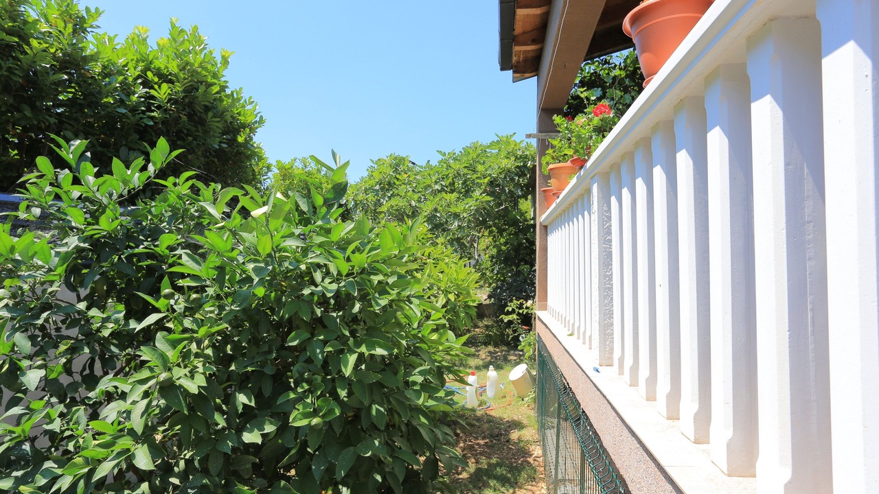 Photo of Outdoor in Rudine