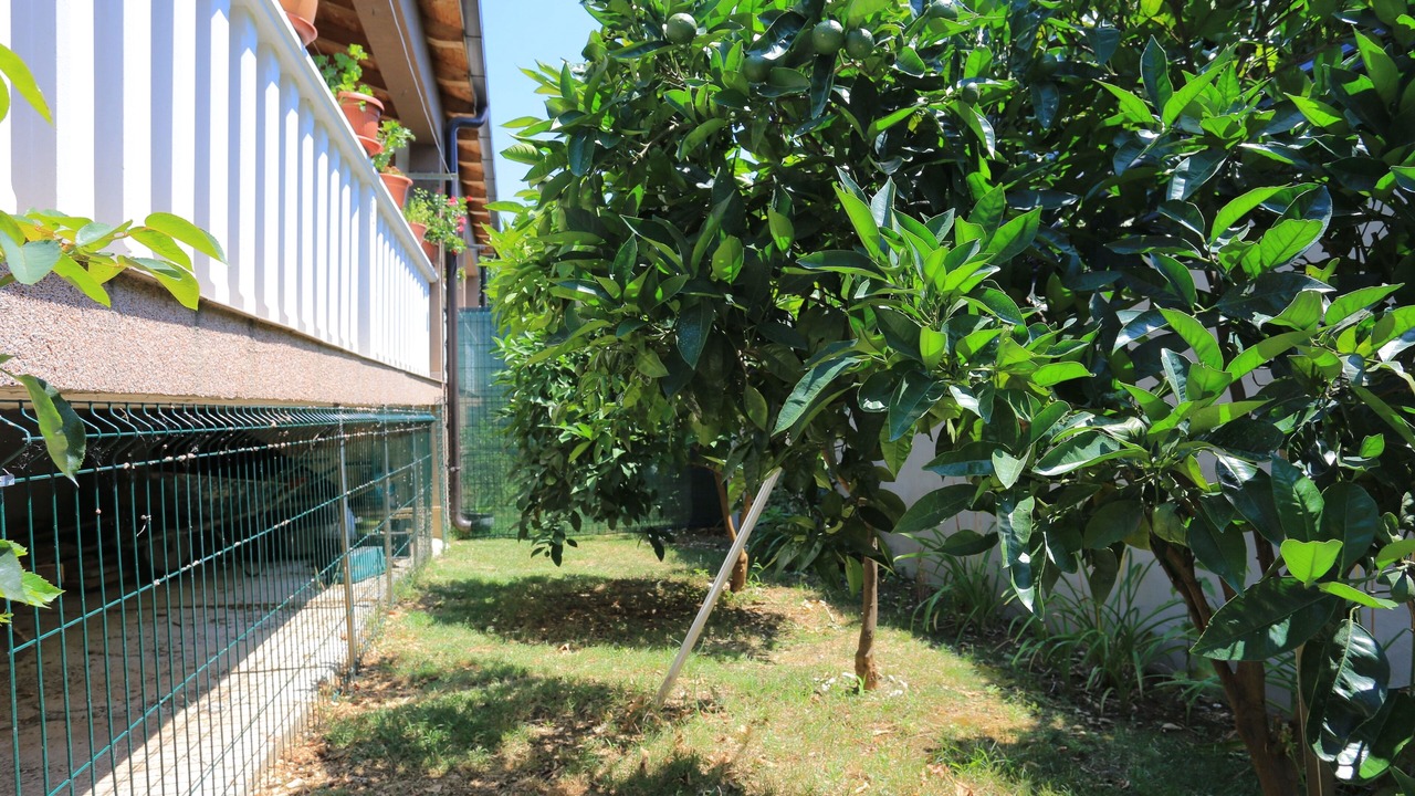 Photo of Outdoor in Rudine