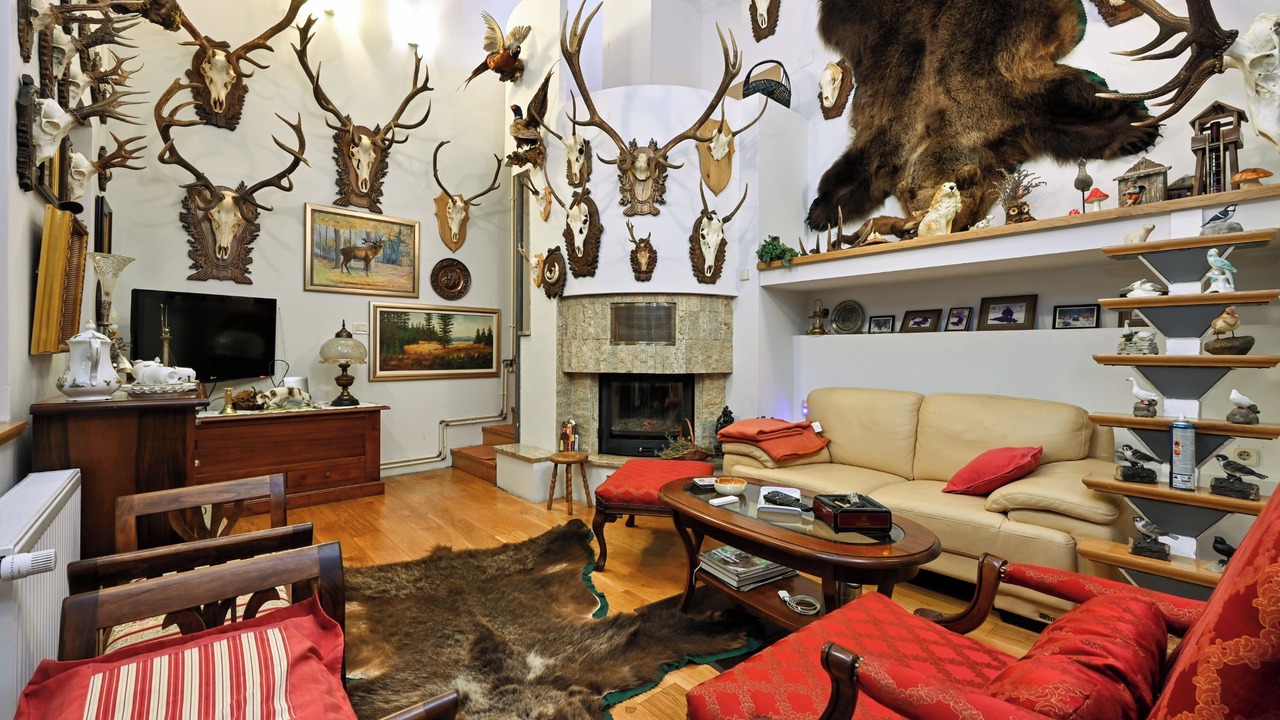 Photo of Livingroom in Velika Pisanica