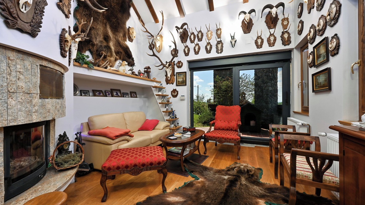 Photo of Livingroom in Velika Pisanica