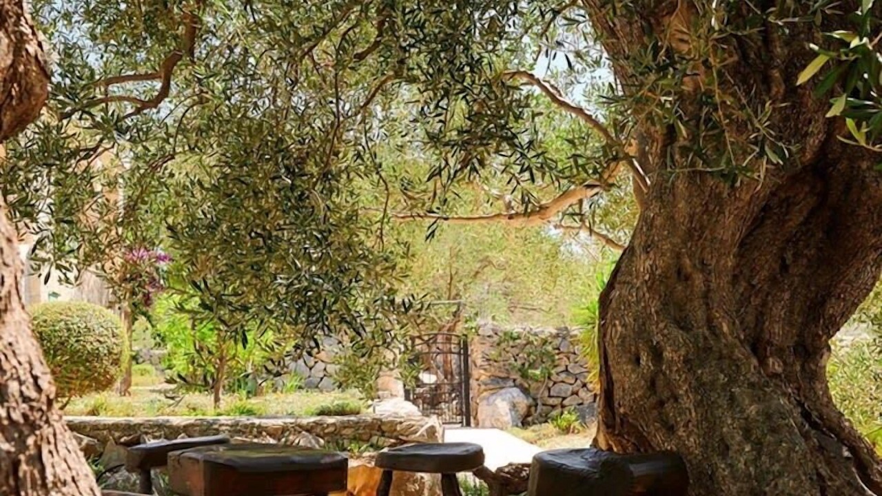 Photo of Outdoor in Lun