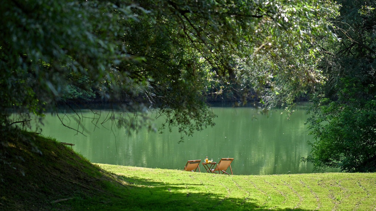Photo of Others in Petrinja