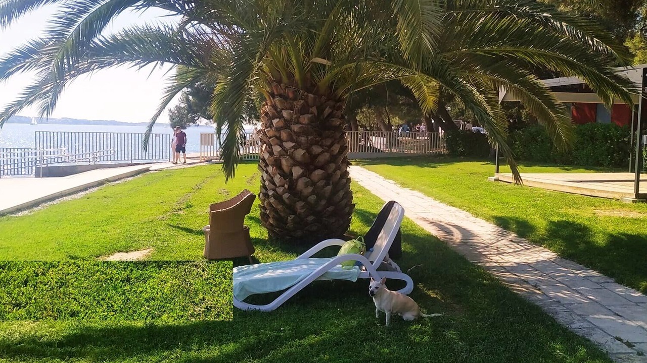 Photo of Outdoor in Portoroz