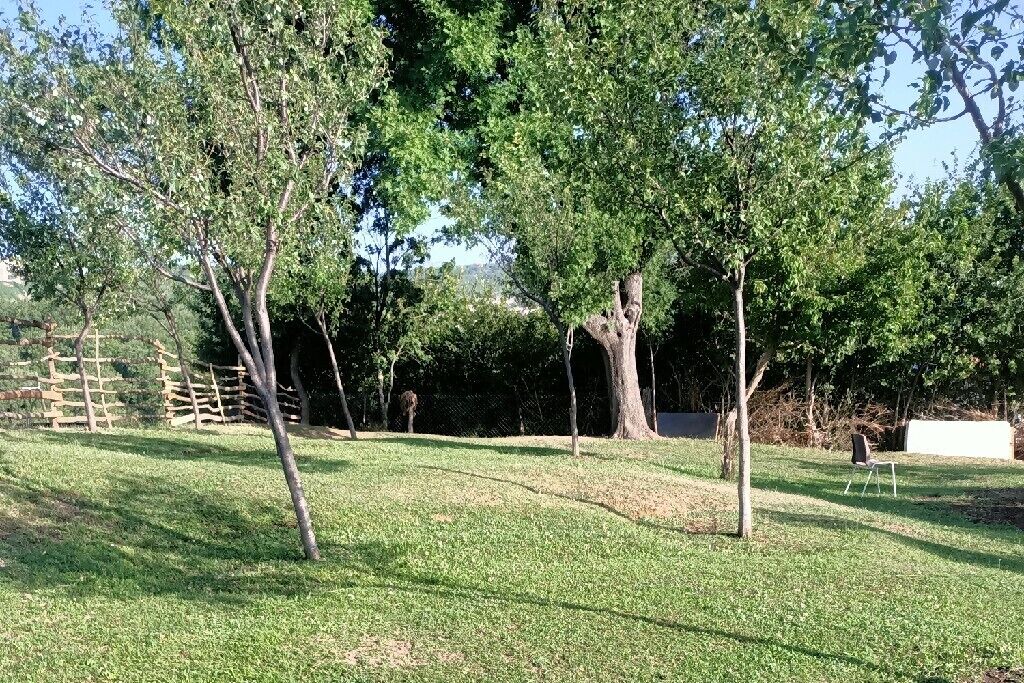 Photo of Outdoor in Cove Parja