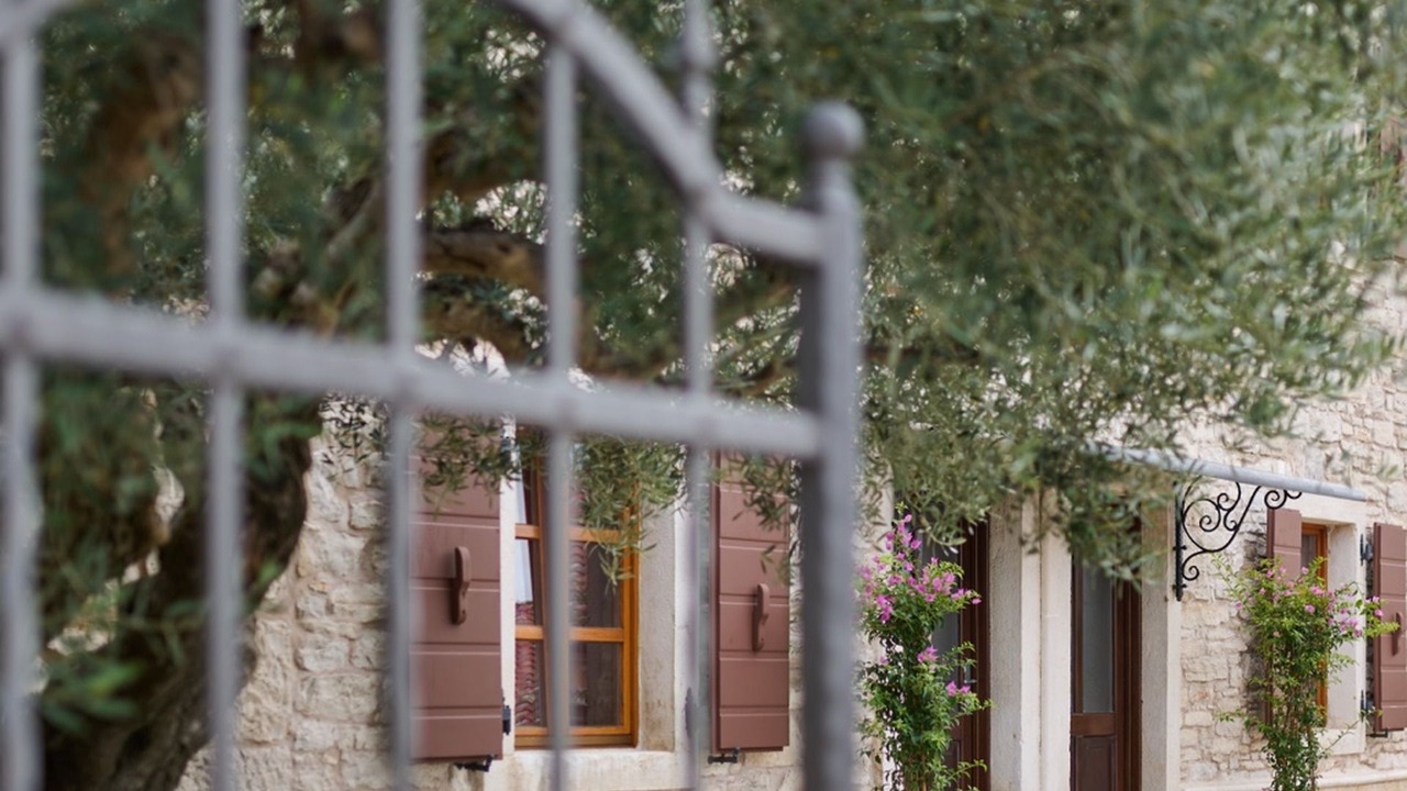 Photo of Outdoor in Vilanija