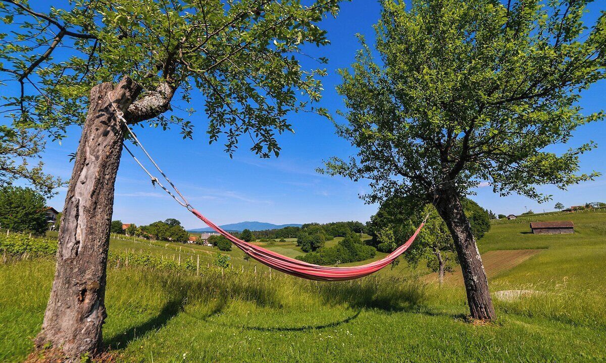 Photo of Outdoor in Brezice
