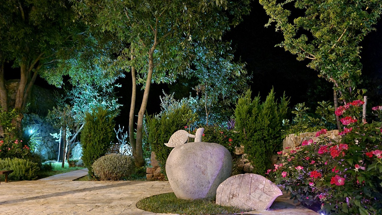 Photo of Outdoor in Seline