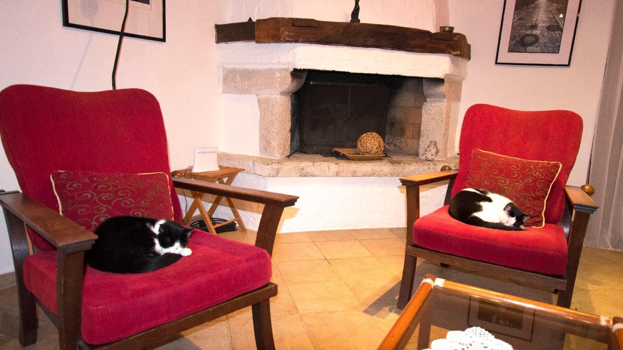 Photo of Others in Kosinozici