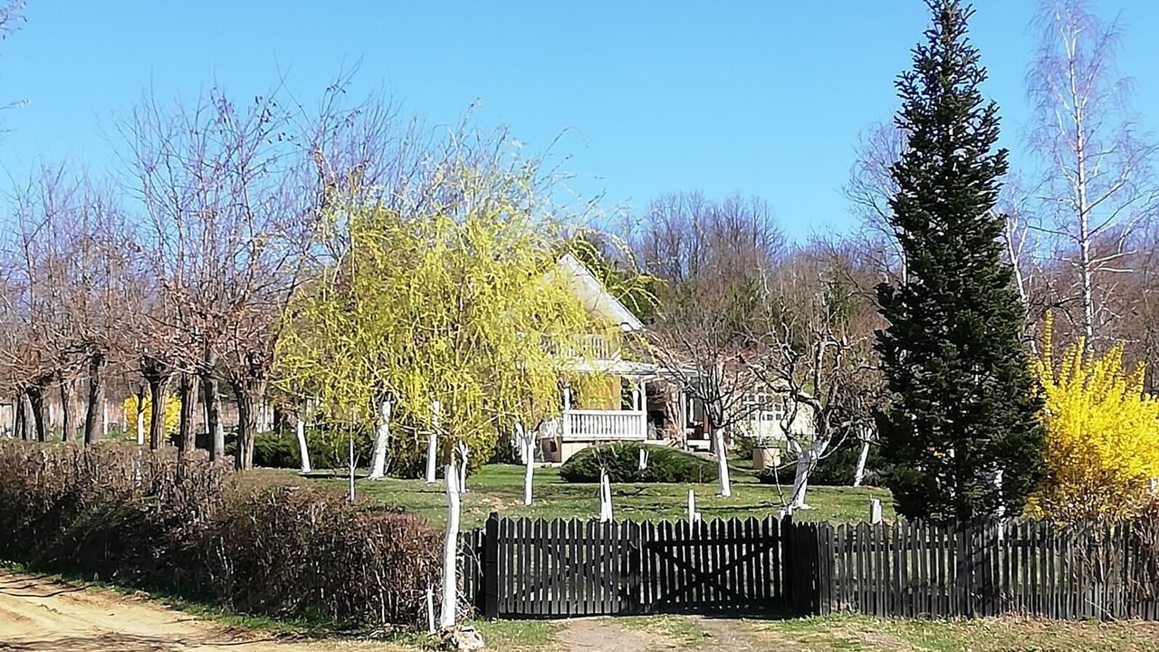 Photo of Outdoor in Nova Kapela