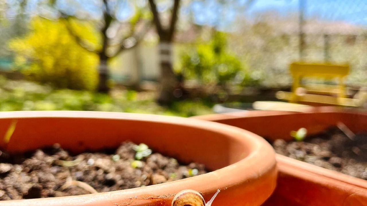 Photo of Outdoor in Gornji Karin