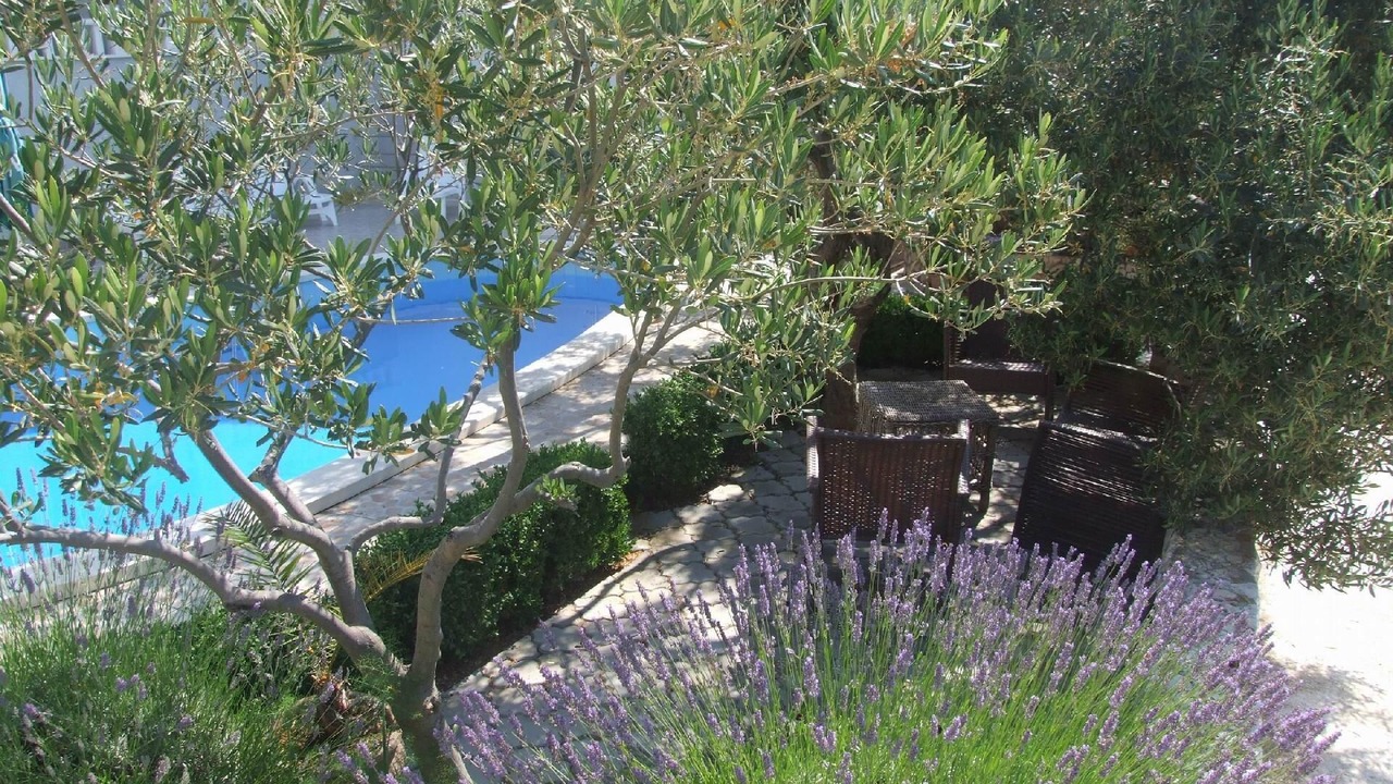 Photo of Outdoor in Sevid