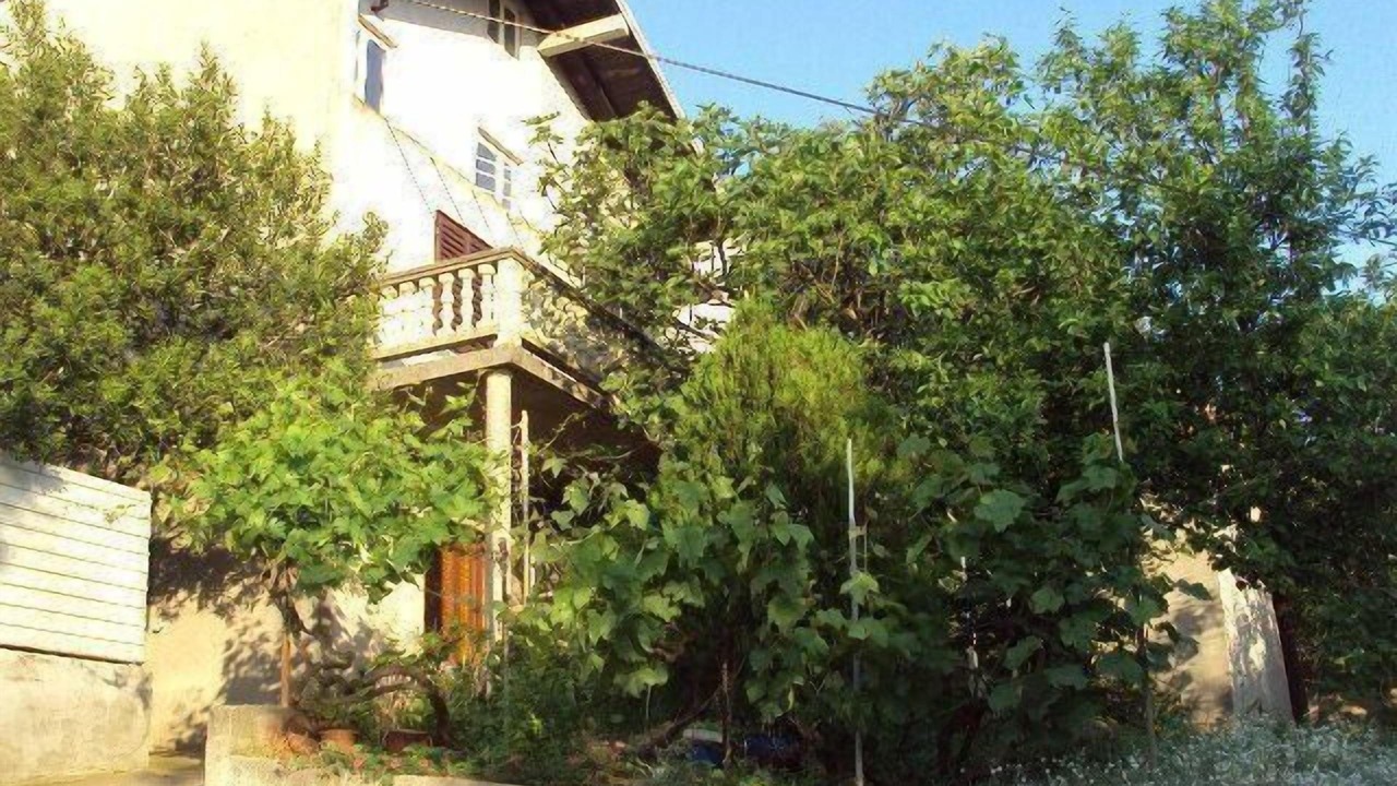 Photo of Others in Zaglav