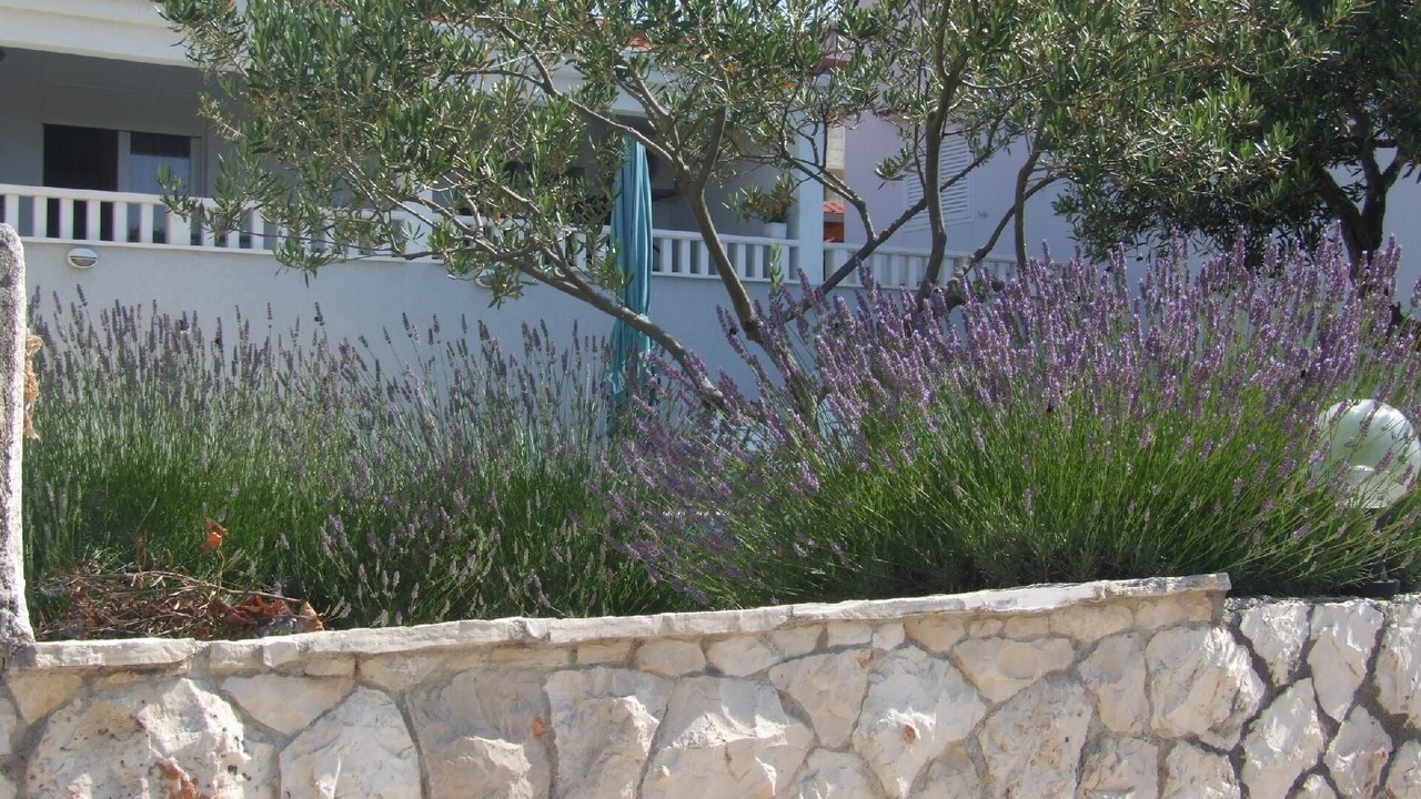 Photo of Outdoor in Sevid