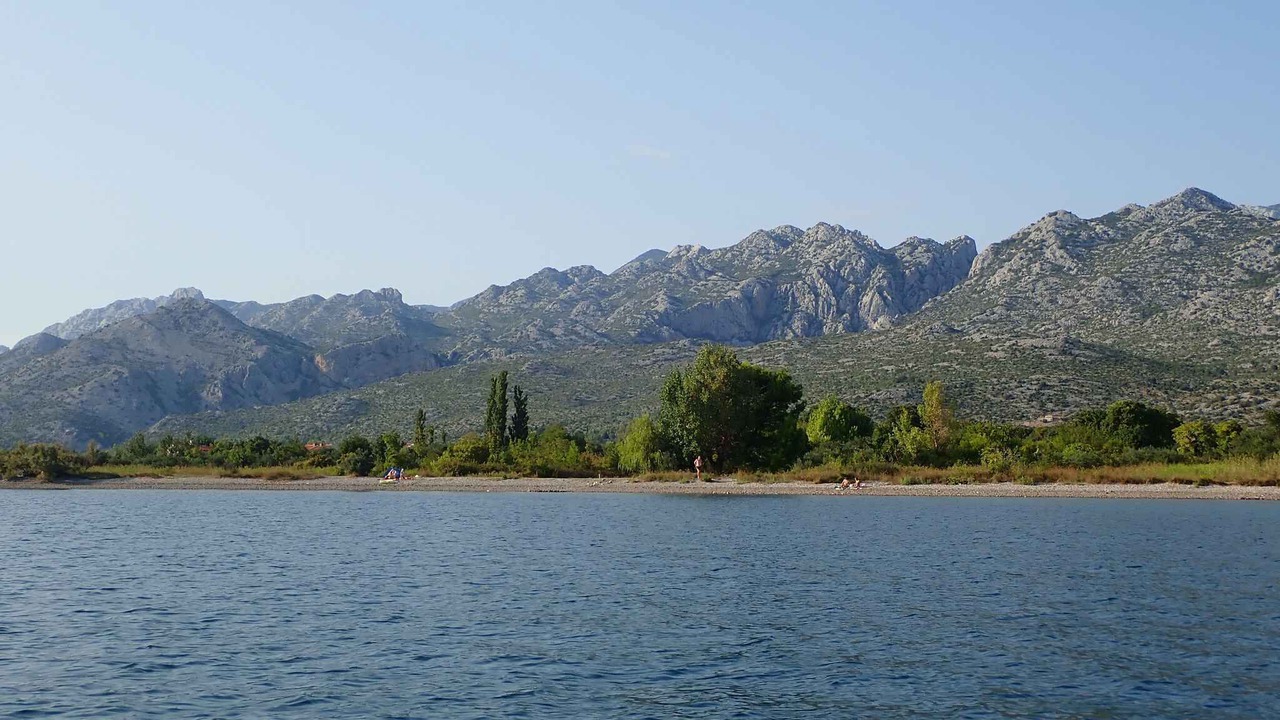Photo of Others in Seline