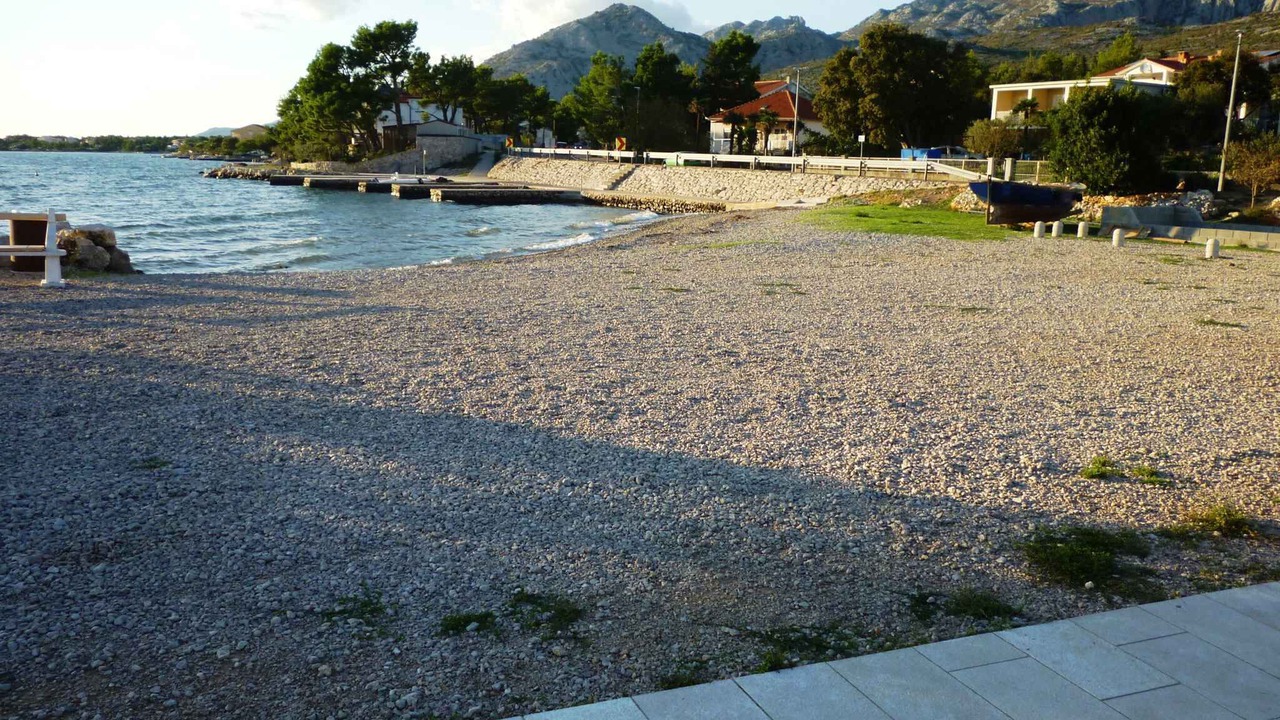 Photo of Others in Seline