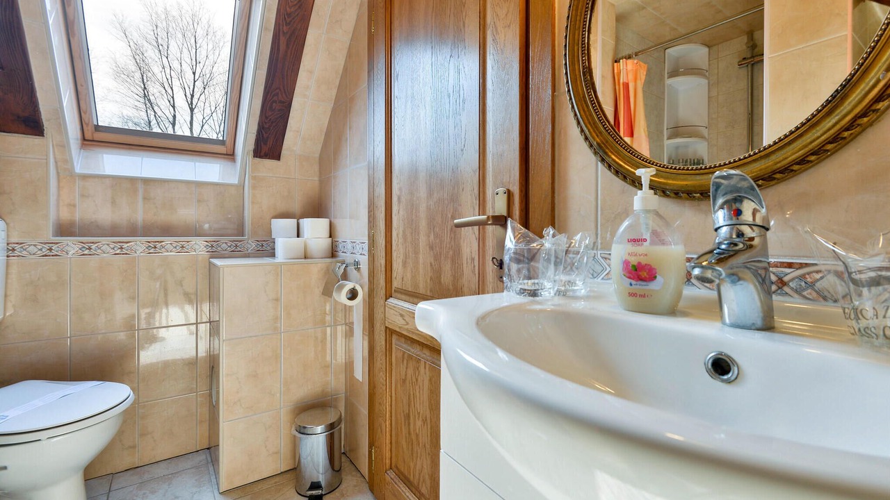 Photo of Bathroom in Mala Ludina